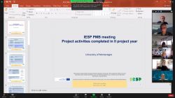 On-line meeting of the Project Management Board held on 12 November 2021